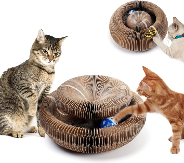 Magic Organ Cat Scratching Board-with a Toy Bell, Interactive Scratcher Cat Toy, Cat Grinding Claw Scratching Board, Foldable